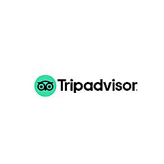 trip advisor london forum|More.